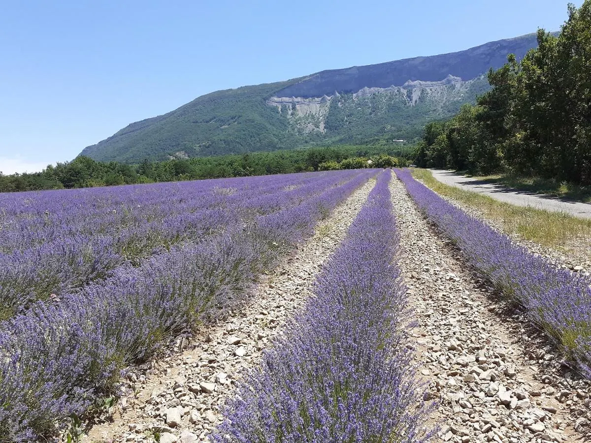 Rose Des Alpes Bed & Breakfast Serres